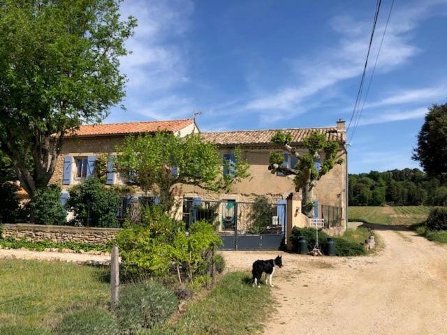 Mas De Costebelle Bed & Breakfast Bollène Eksteriør bilde